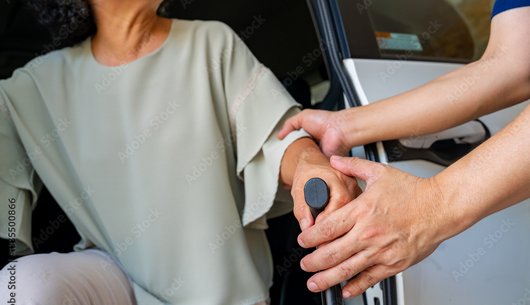 Fahrer/in für die Tagespflege